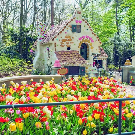 Dorsvloer Vakantiehuis De Moer