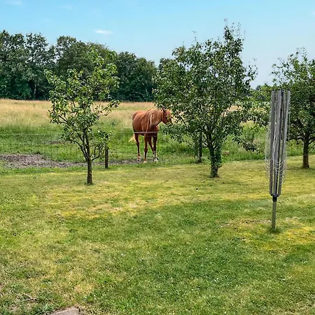 Dorsvloer Vakantiehuis *