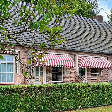 Hébergement de vacances Dorsvloer *